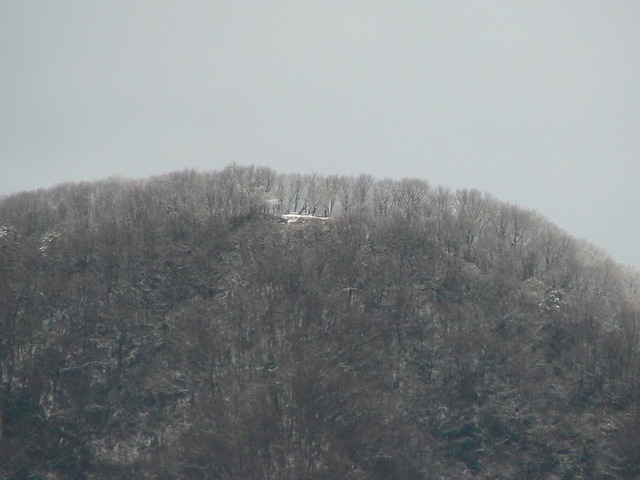 P1060092-2048.jpg