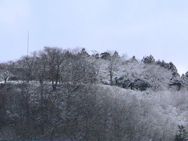 P1060134-2048.jpg