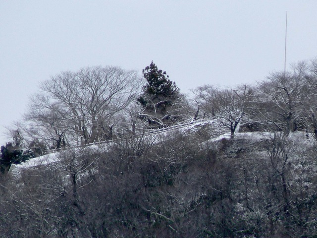 P1060138-2048.jpg