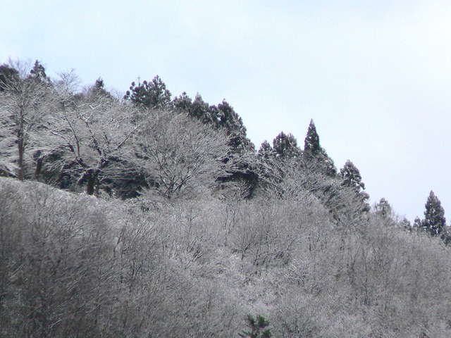 P1060149-2048.jpg