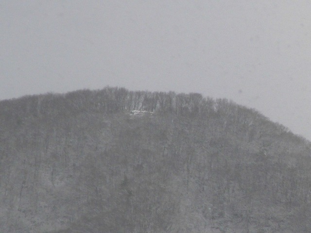 P1060156-2048.jpg