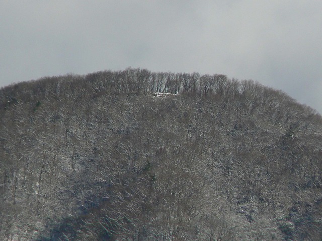 P1060158-2048.jpg