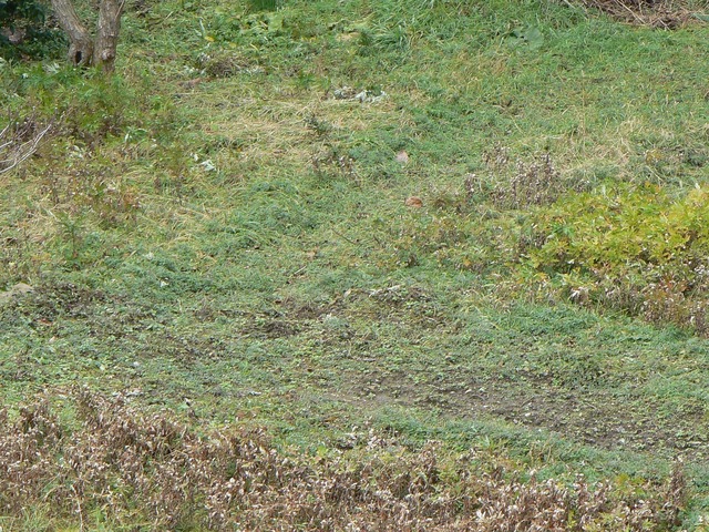 P1060176-2048.jpg