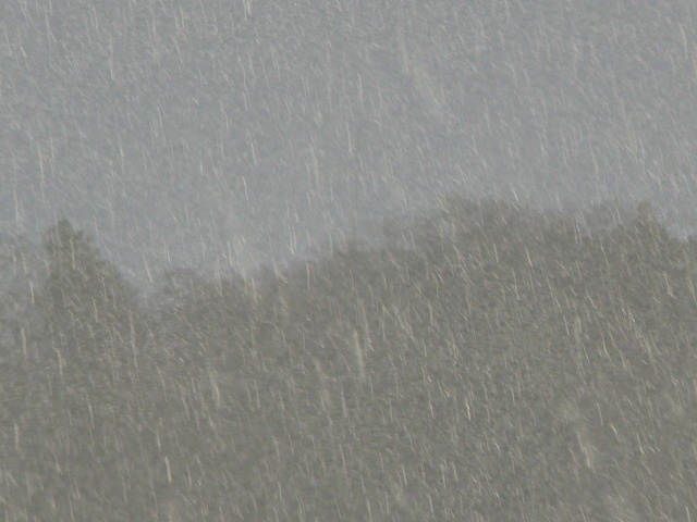 P1060180-2048.jpg