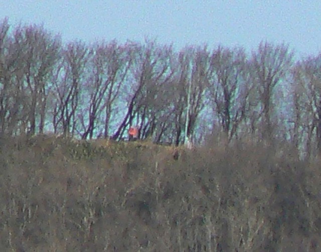 P1060197-1200.jpg