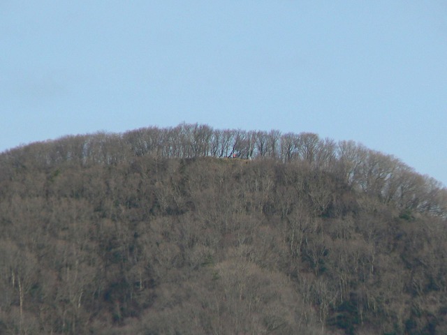 P1060197-2048.jpg