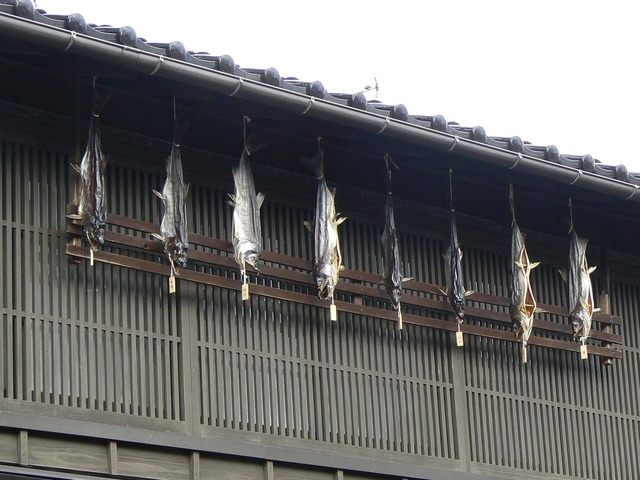 P1060333-2048.jpg