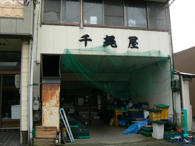 P1060343-2048.jpg