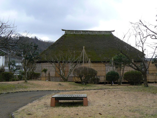 P1060360-2048.jpg