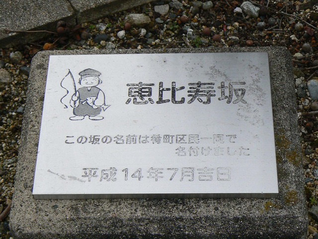P1060523-2048.jpg