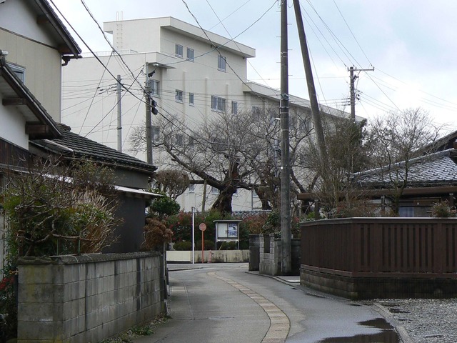 P1060572-2048.jpg