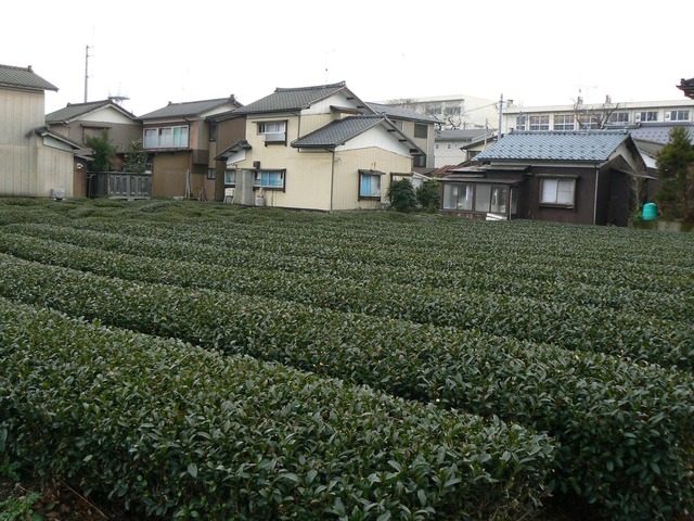 P1060587-2048.jpg
