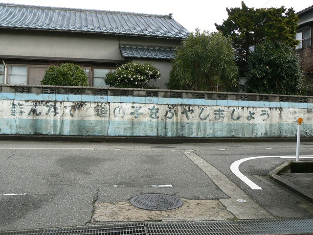 P1060590-2048.jpg