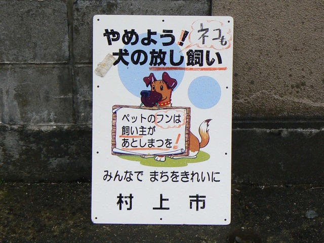 P1060625-2048.jpg