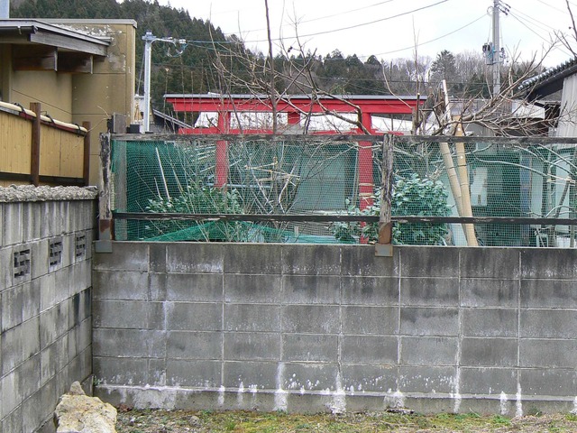 P1060776-2048.jpg