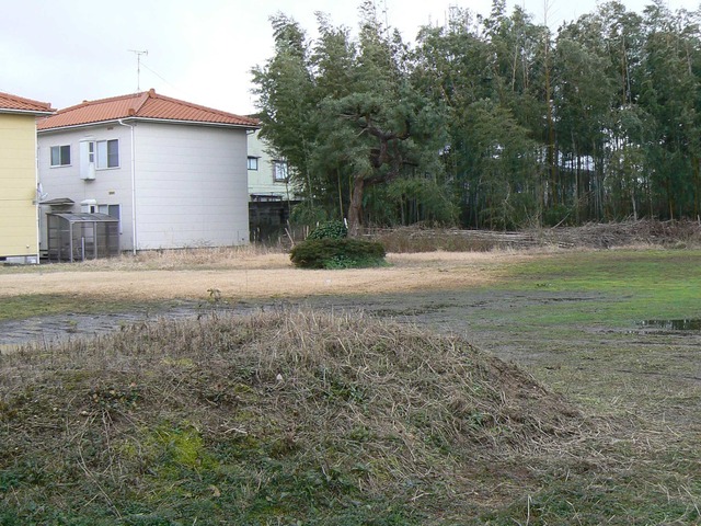 P1060880-2048.jpg
