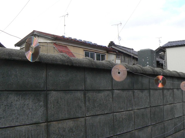 P1060901-2048.jpg