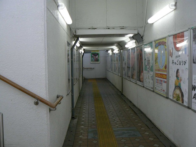 P1060977-2048.jpg
