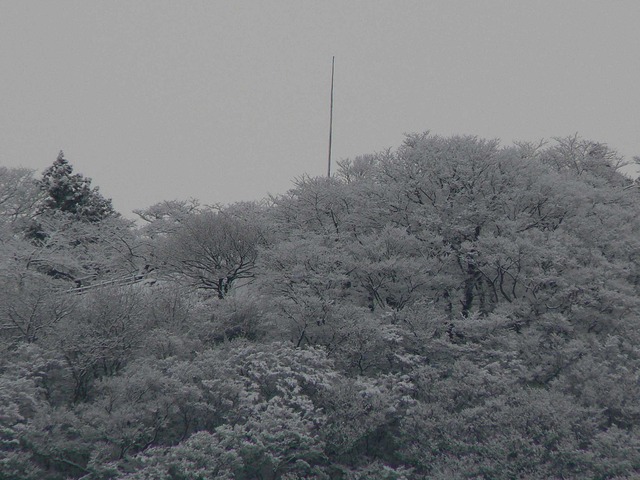 P1070085-2048.jpg
