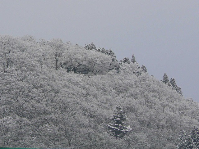 P1070089-2048.jpg