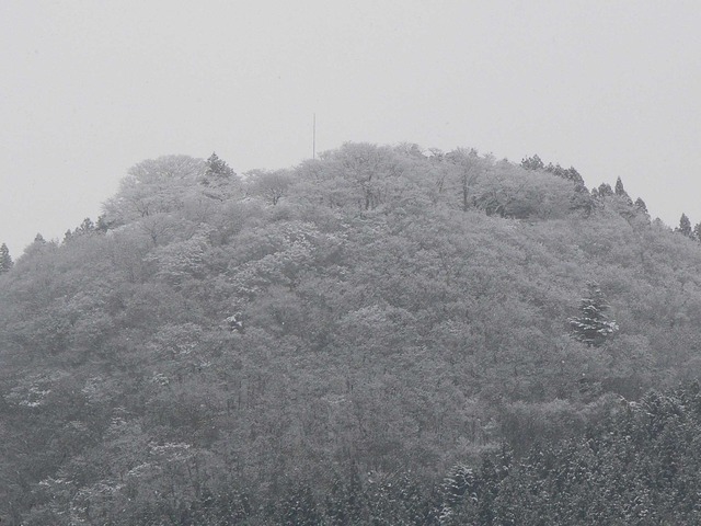 P1070091-1-2048.jpg