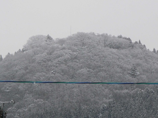 P1070091-2048.jpg