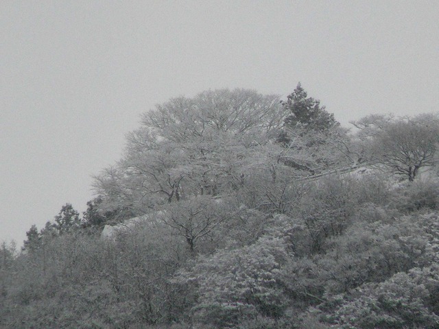 P1070093-2048.jpg