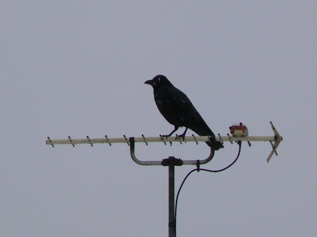 P1070099-2048.jpg