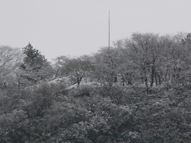P1070107-2048.jpg