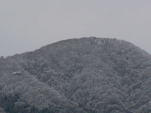 P1070116-2048.jpg