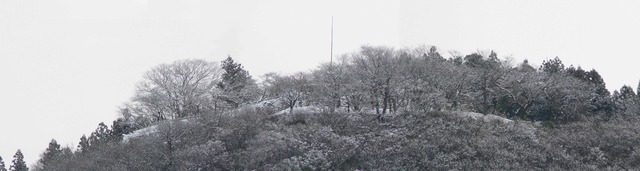 P1070124-5406-2.jpg