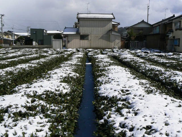 P1070169-2048.jpg