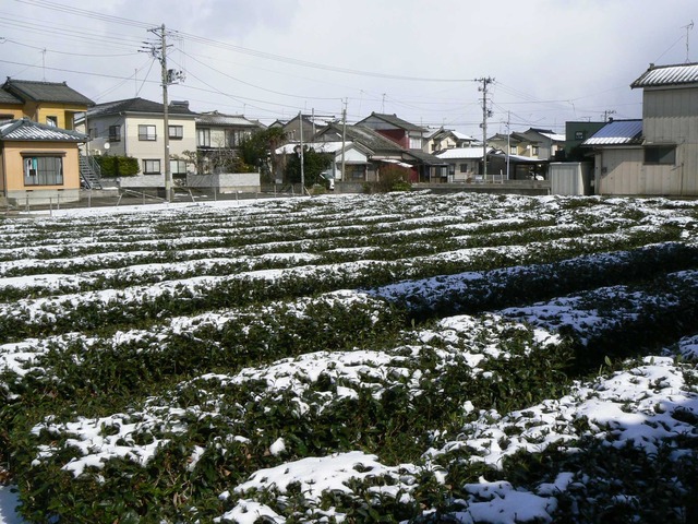 P1070170-2048.jpg