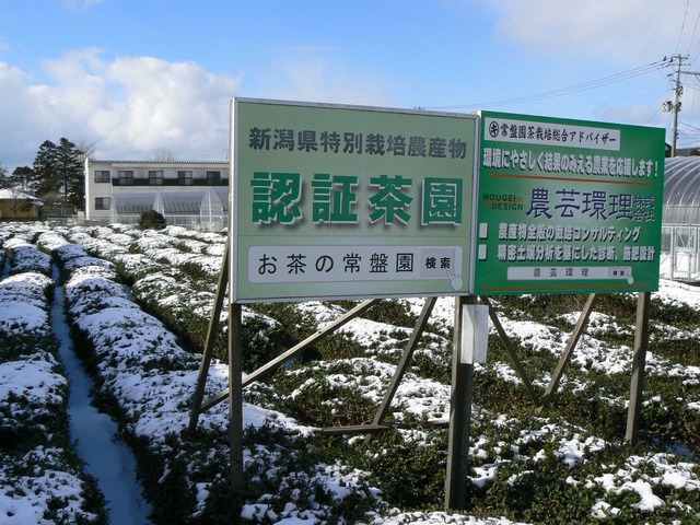 P1070171-2048.jpg