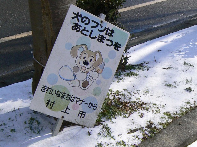 P1070172-2048.jpg