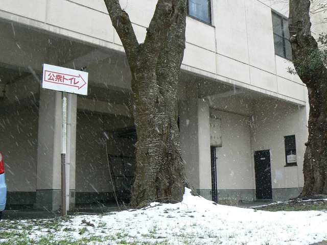 P1070195-2048.jpg