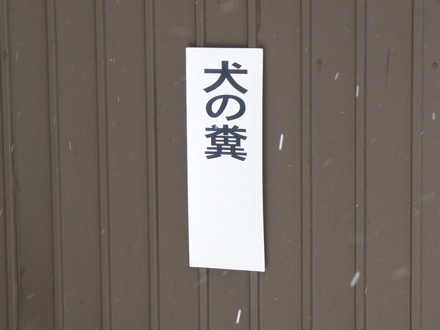 P1070199-2048.jpg
