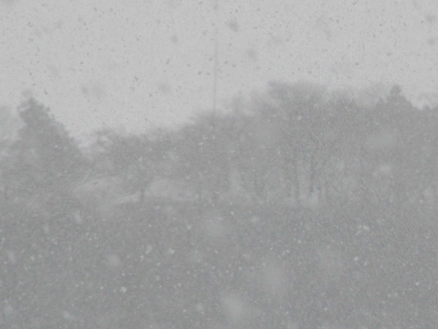 P1070204-2048.jpg