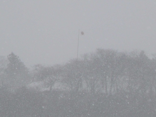 P1070206-2048.jpg