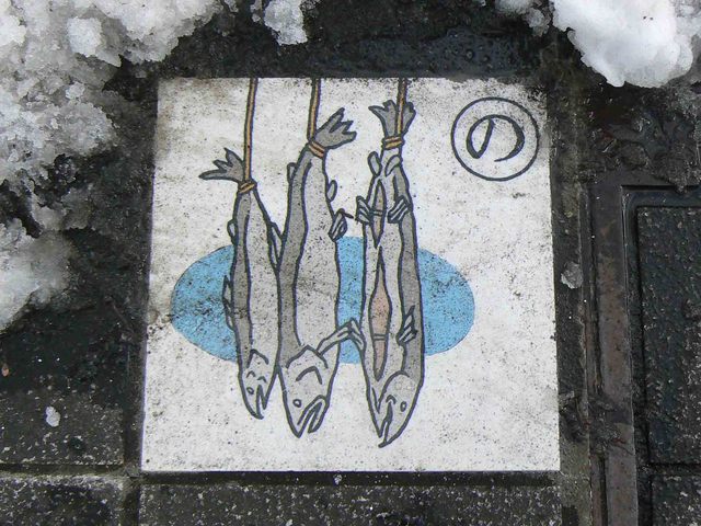 P1070236-2048.jpg