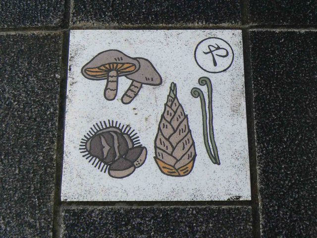 P1070271-2048.jpg