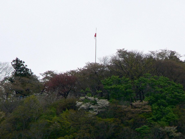 P1070617-2048.jpg