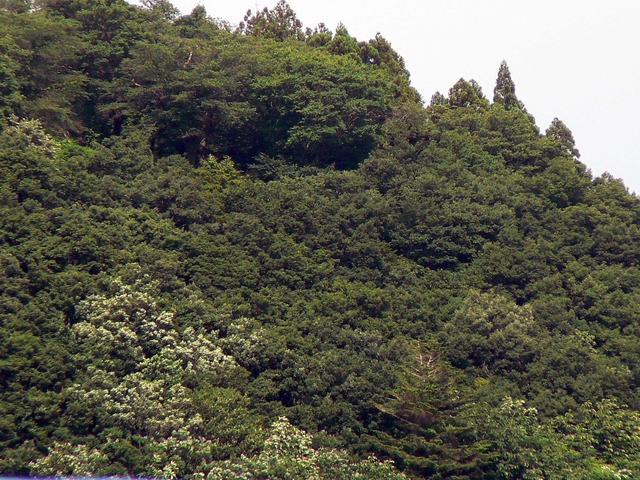 P1070968-2048.jpg
