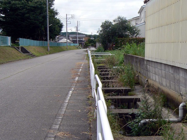 P1080046-2048.jpg