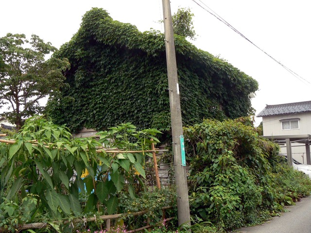 P1080088-2048.jpg