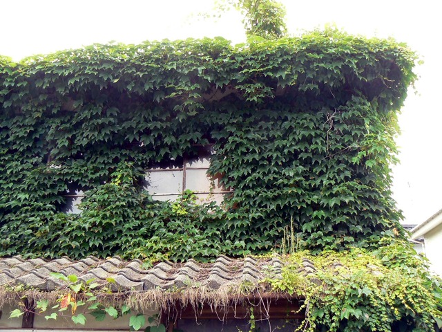 P1080090-2048.jpg