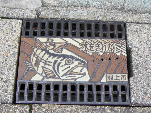 P1080095-2048.jpg