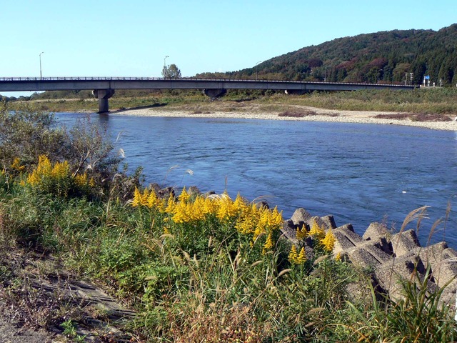 P1090014-2048.jpg