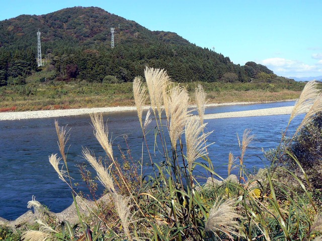 P1090015-2048.jpg