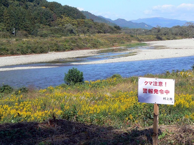 P1090037-2048.jpg
